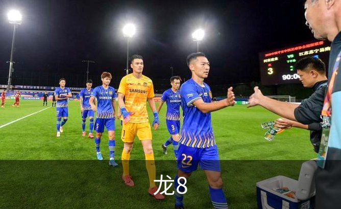 龙8品牌故事